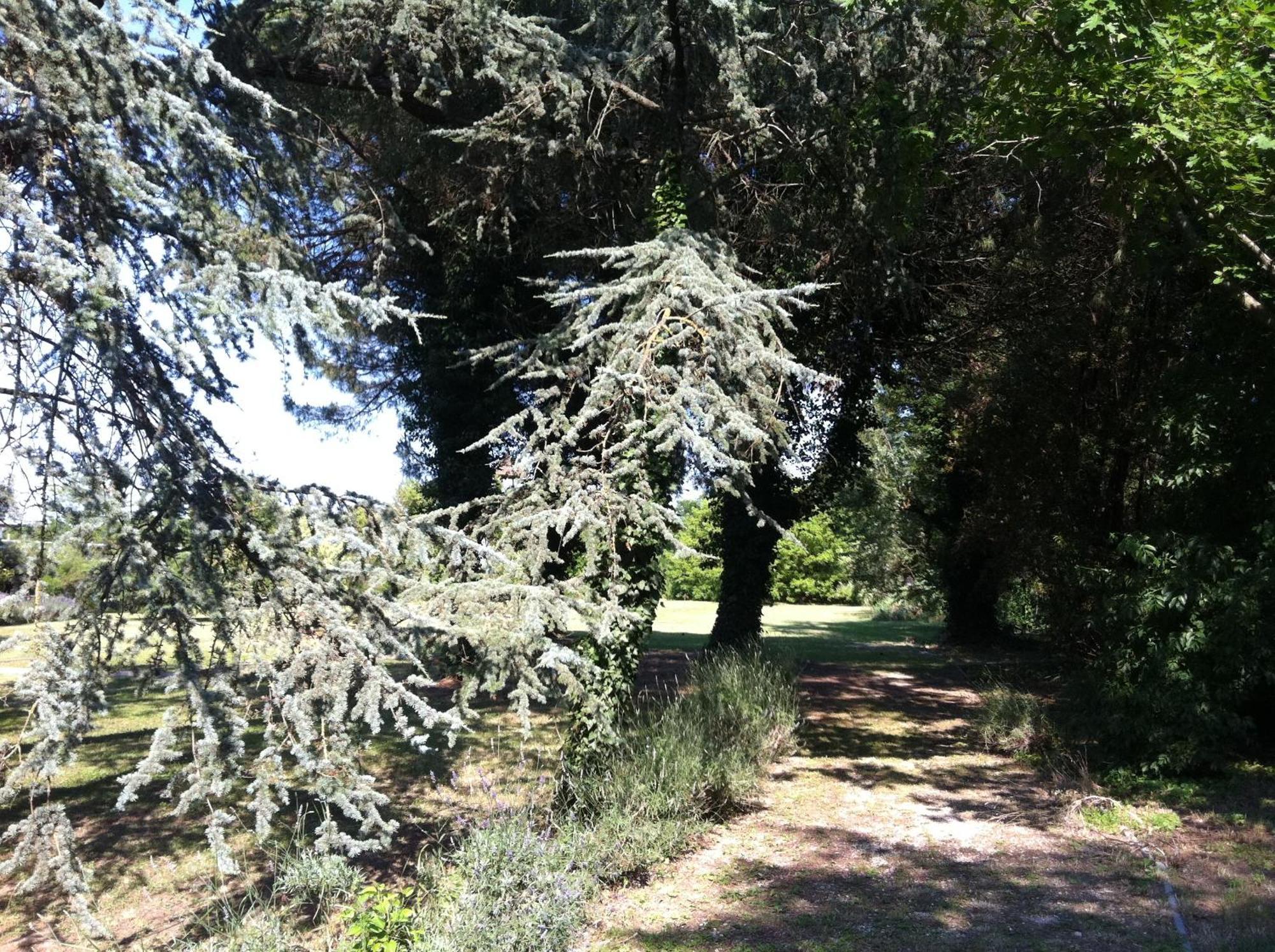 Villa Carrer Porto Viro Buitenkant foto