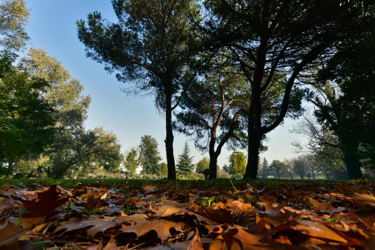 Villa Carrer Porto Viro Buitenkant foto